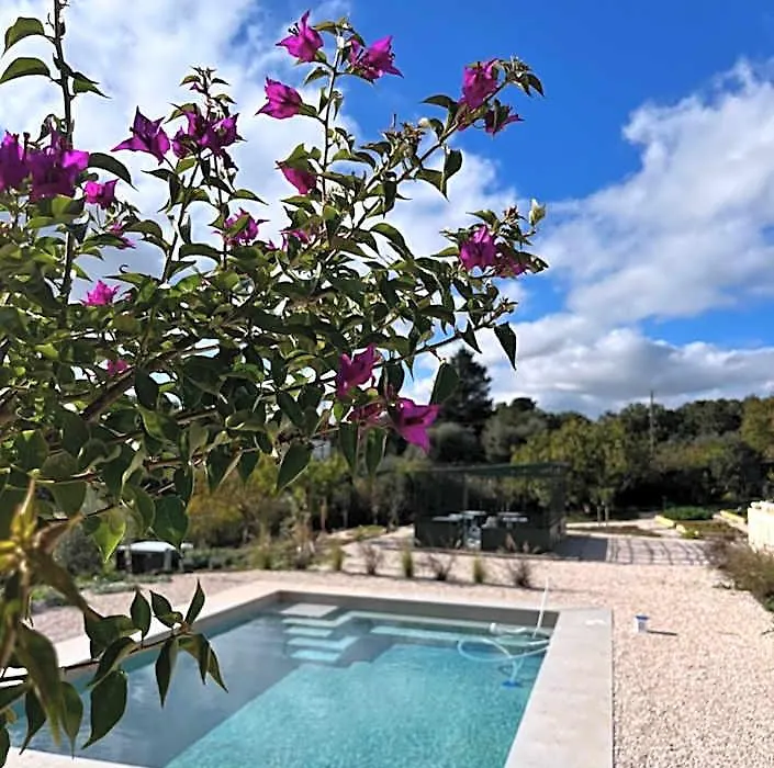Villa Ada-Trulli&Luxury Accomodation-1